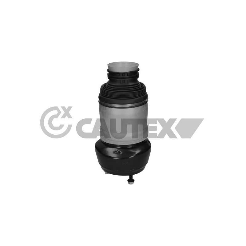 Ammortizzatore asse anteriore - CAUTEX GOMMA E PARTI MOTORE