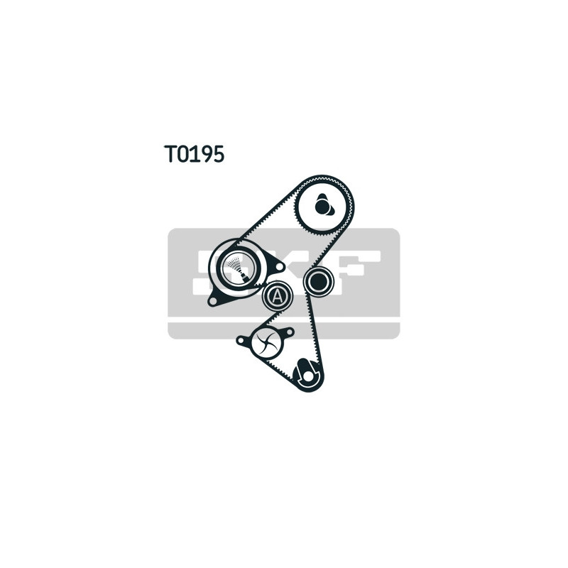 Kit distribuzione - SKF