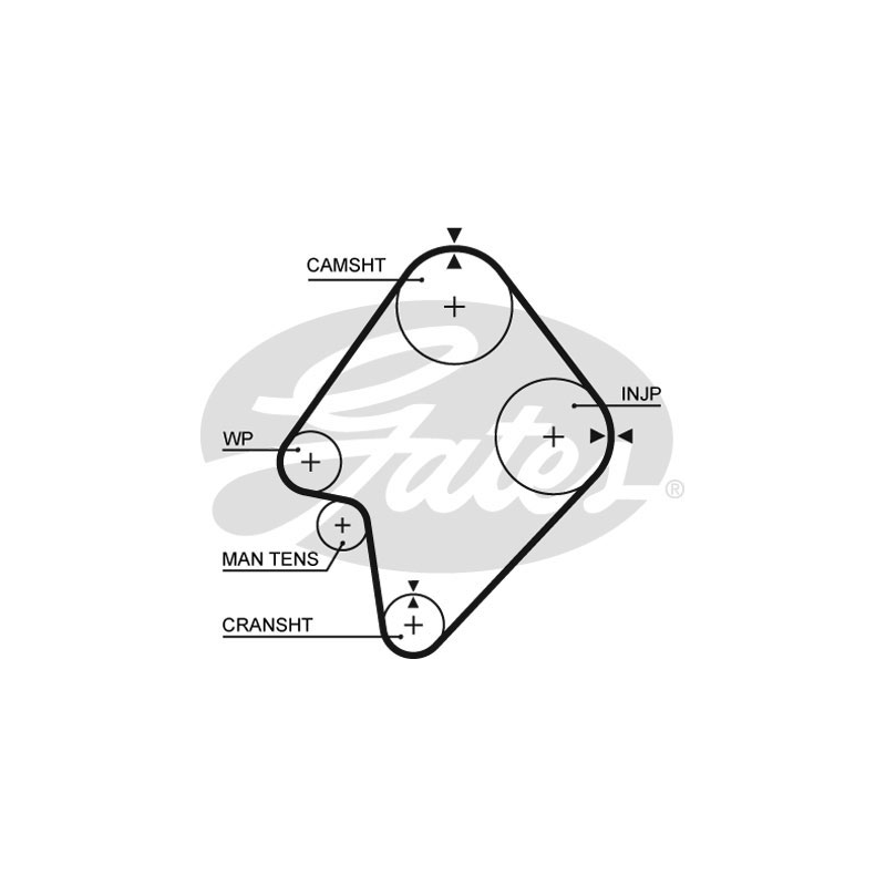 Cinghia/catena distribuzione - GATES