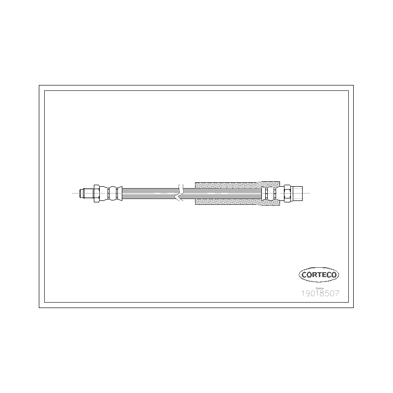 Flessibile freno asse posteriore - CORTECO