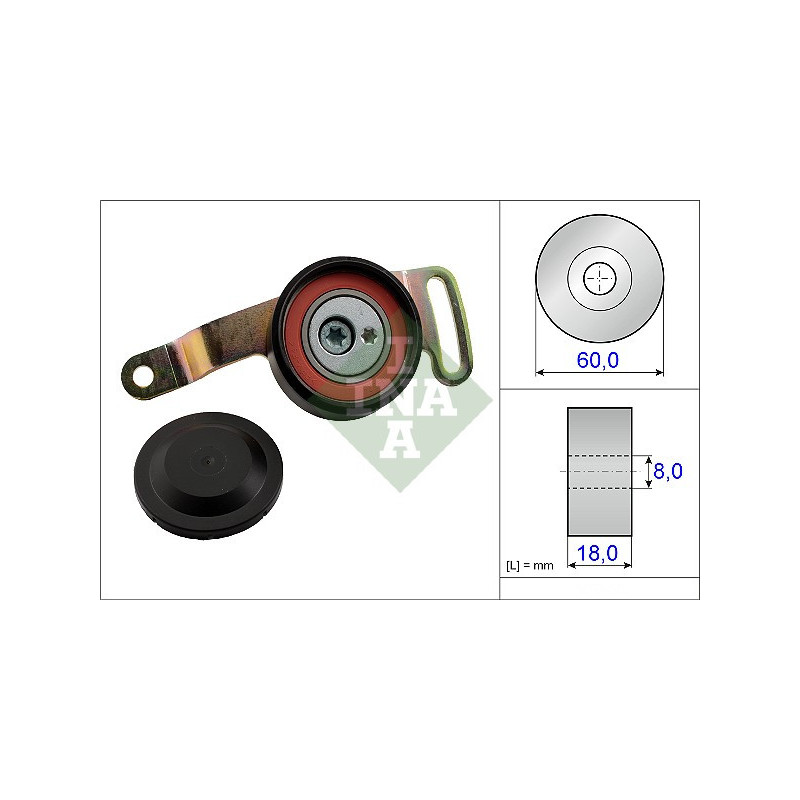 Tendicinghia trapezoidale - INA