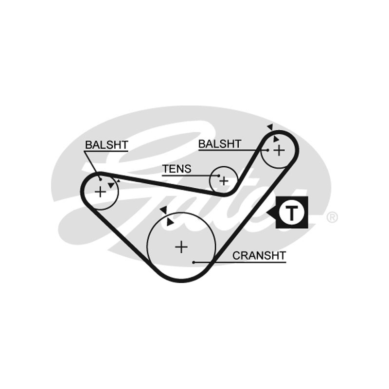 Cinghia/catena distribuzione - GATES