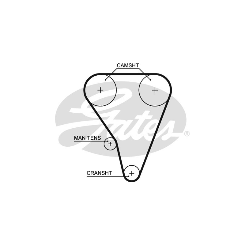 Cinghia/catena distribuzione - GATES