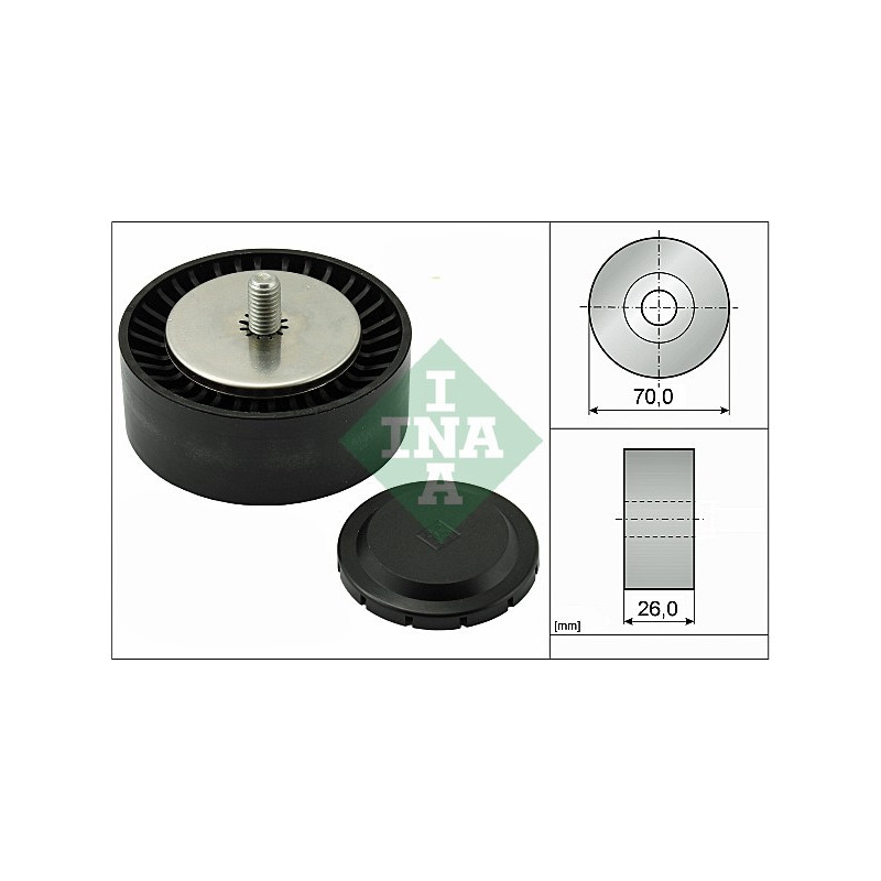 Tendicinghia trapezoidale - INA