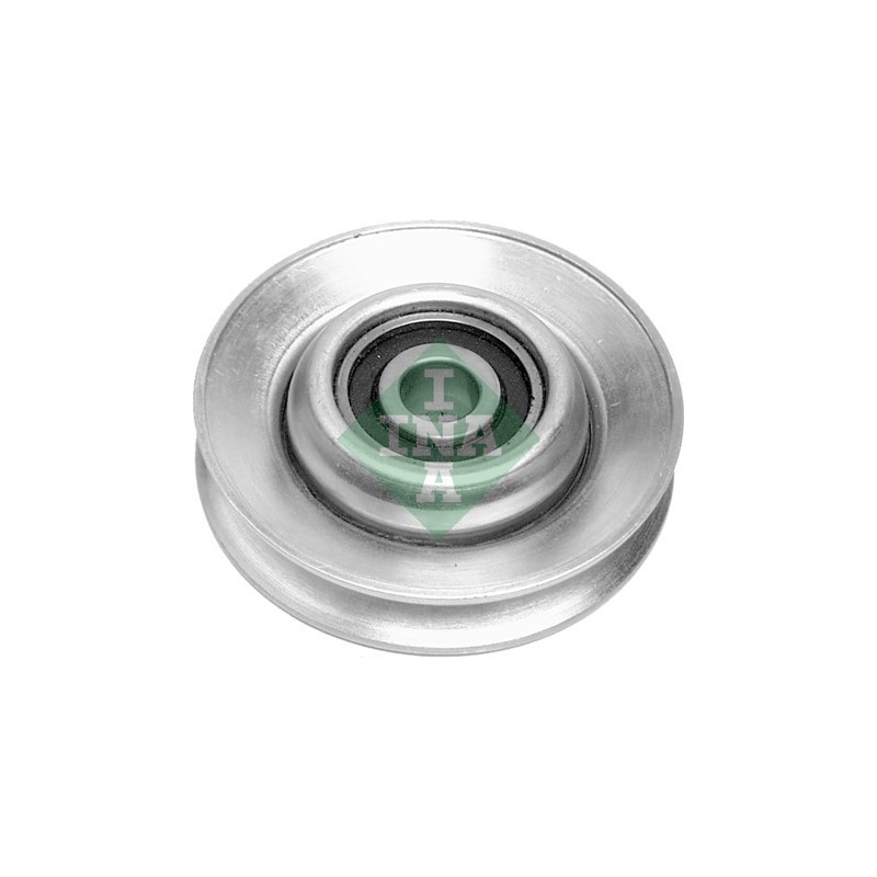 Tendicinghia trapezoidale - INA