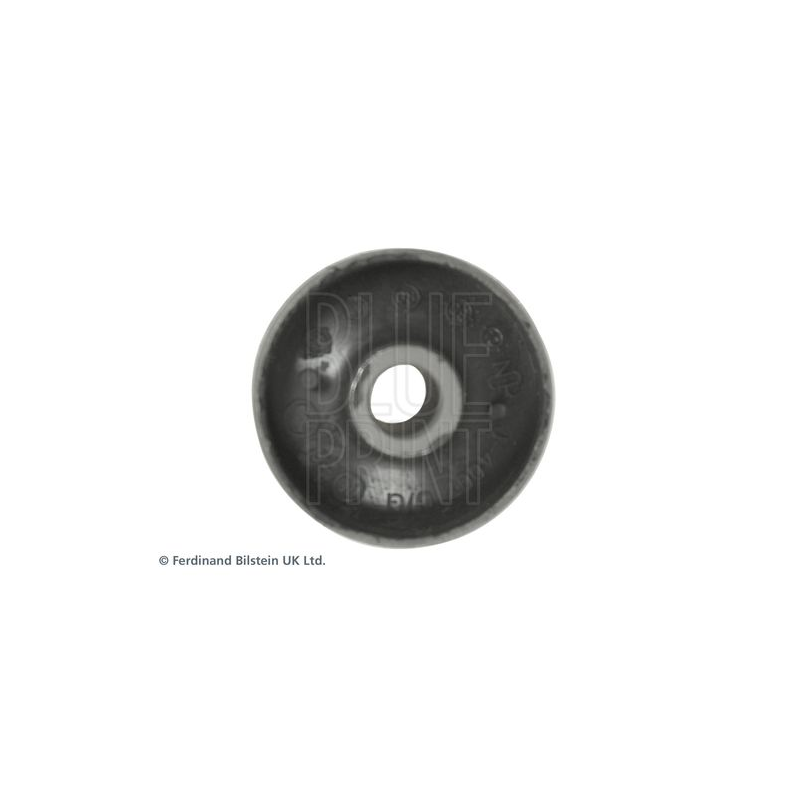 Supporto braccio oscillante - BLUE PRINT