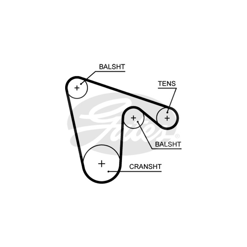 Cinghia/catena distribuzione - GATES