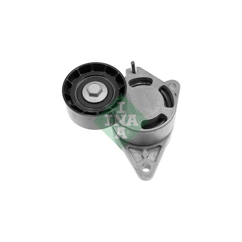 Tendicinghia trapezoidale - INA