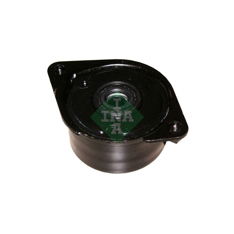 Tendicinghia trapezoidale - INA