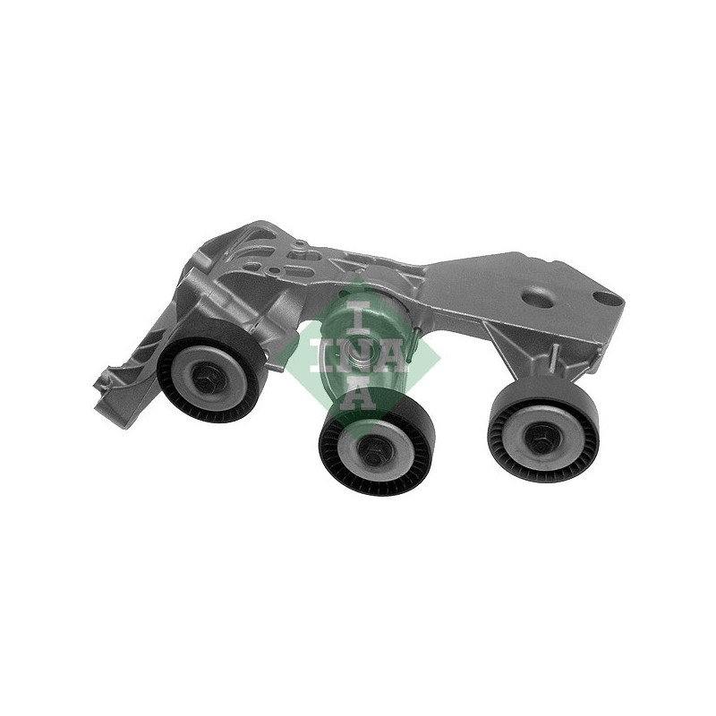 Tendicinghia trapezoidale - INA