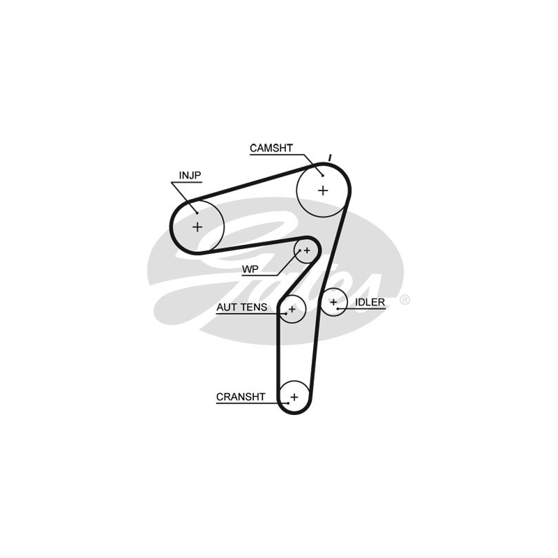 Cinghia/catena distribuzione - GATES