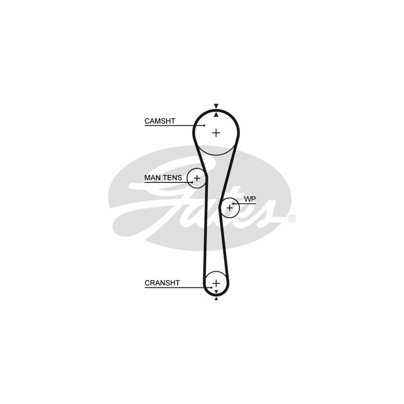 Cinghia/catena distribuzione - GATES