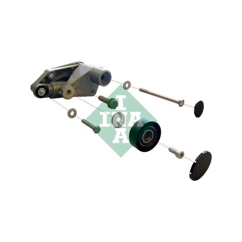 Tendicinghia trapezoidale - INA