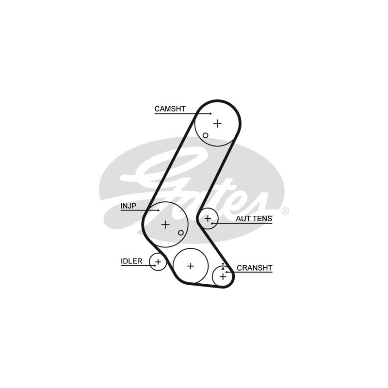 Kit distribuzione - GATES