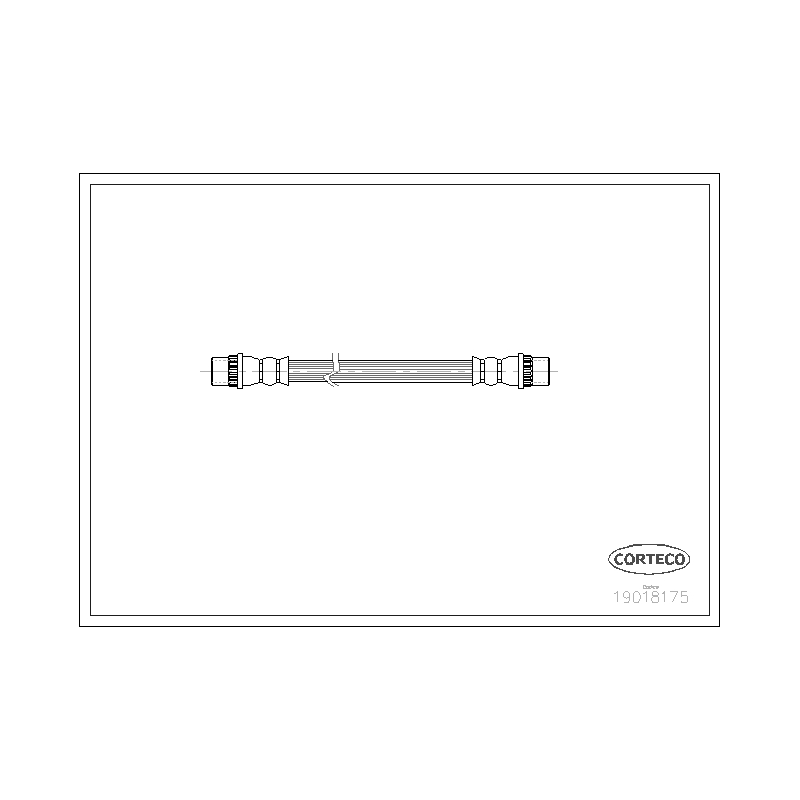 Flessibile freno asse posteriore - CORTECO