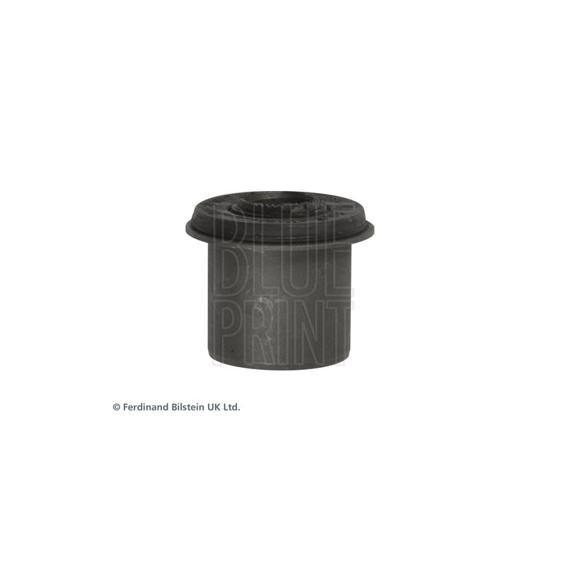 Supporto braccio oscillante - BLUE PRINT