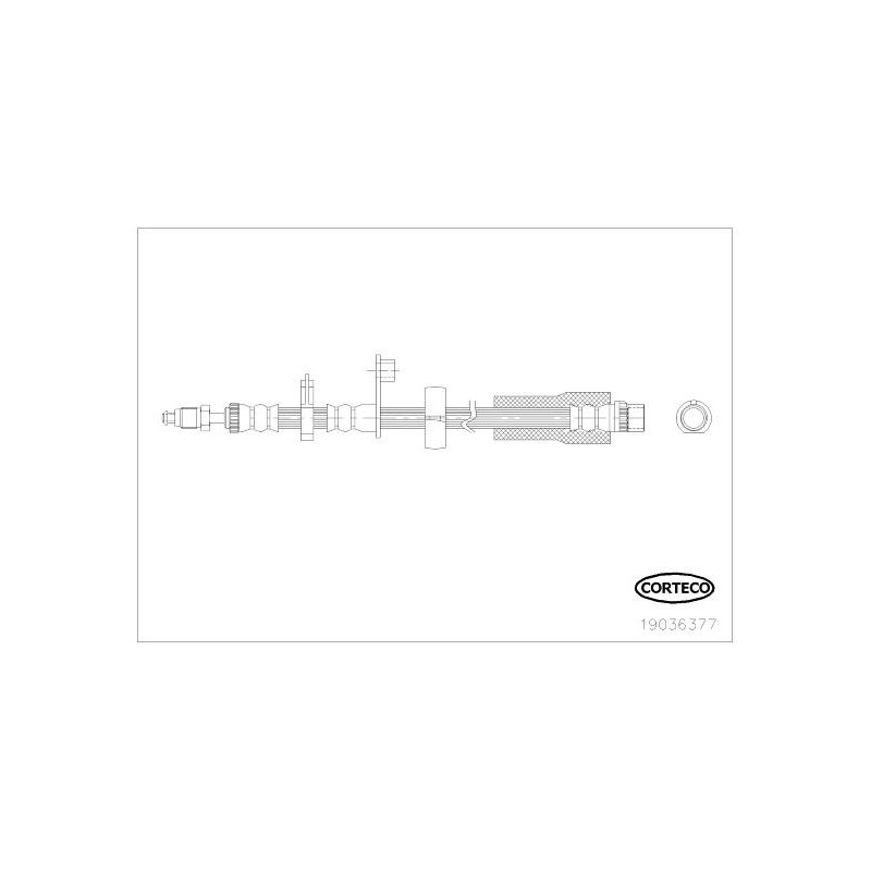 Flessibile freno asse anteriore - CORTECO