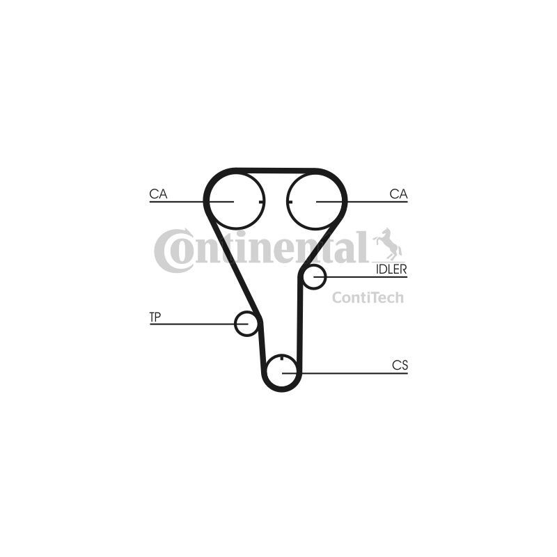 Cinghia/catena distribuzione - CONTITECH