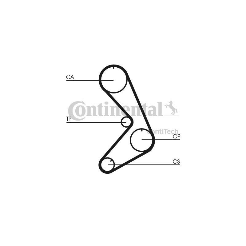 Cinghia/catena distribuzione - CONTITECH