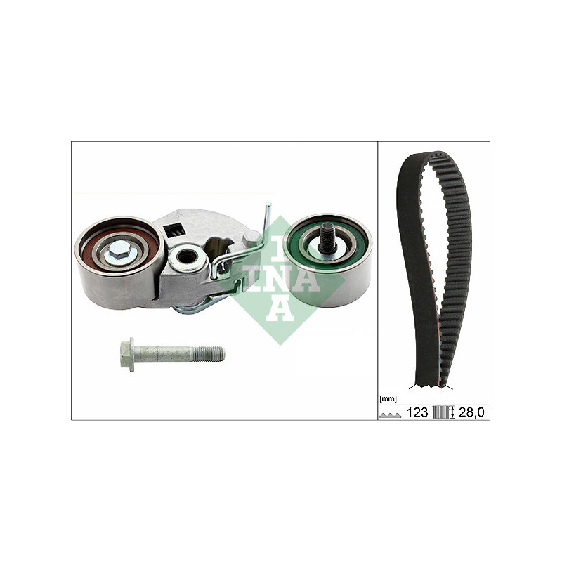 Kit distribuzione - INA