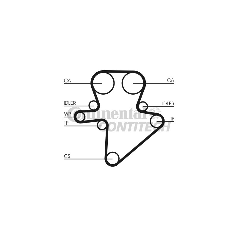 Cinghia/catena distribuzione - CONTITECH