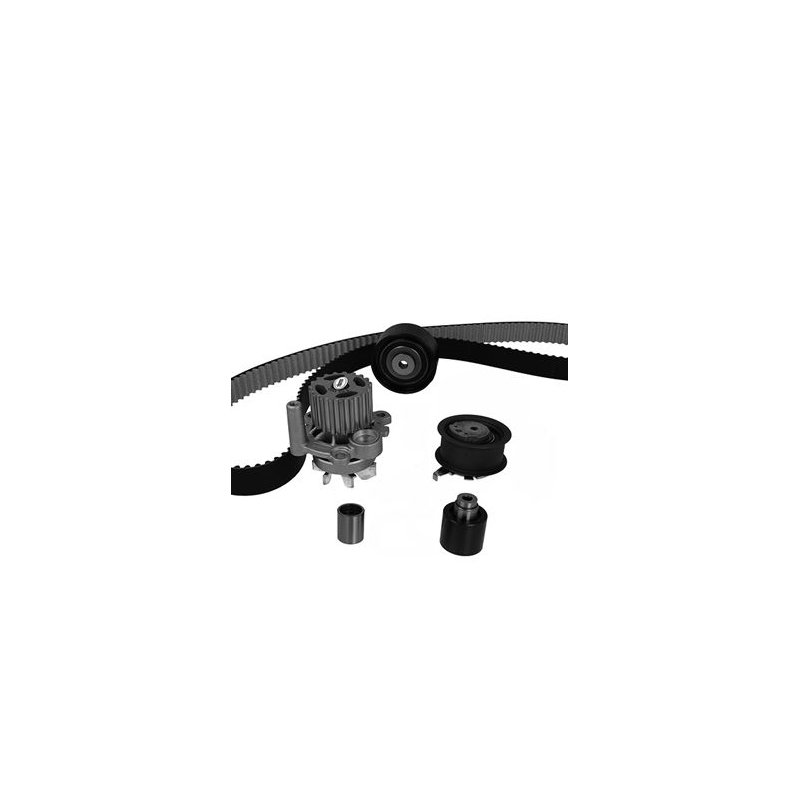 Kit distribuzione - GRAF