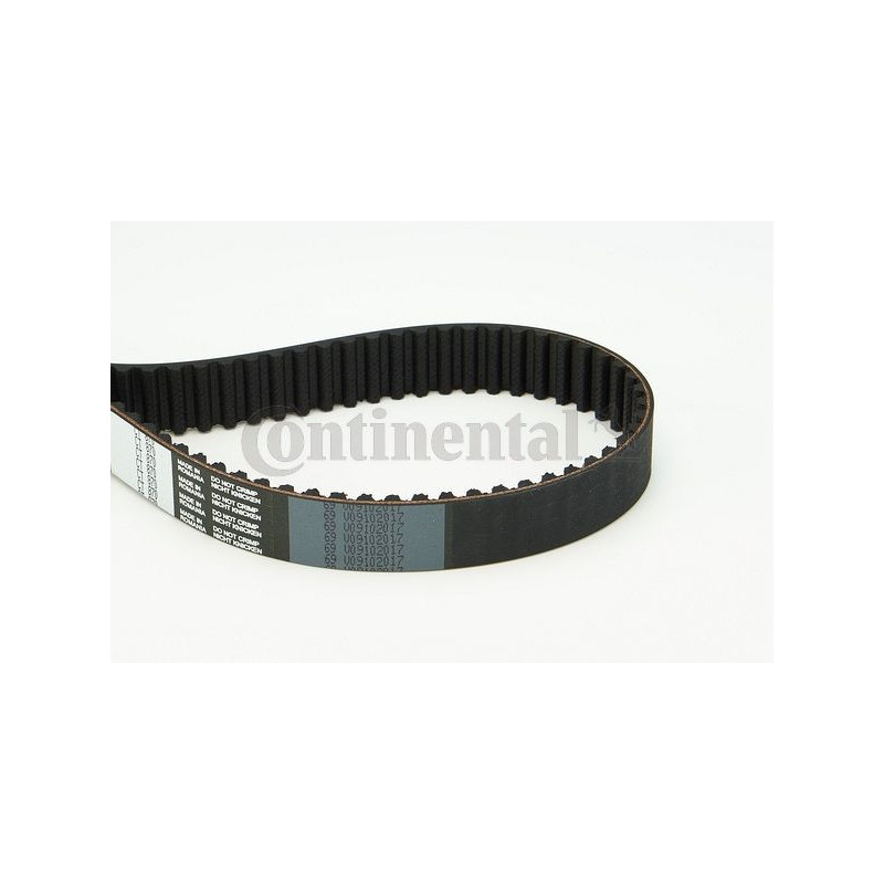 Cinghia/catena distribuzione - CONTITECH