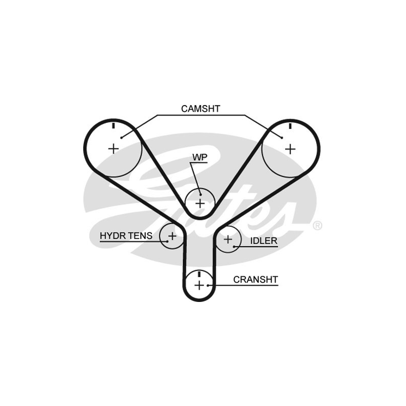 Cinghia/catena distribuzione - GATES