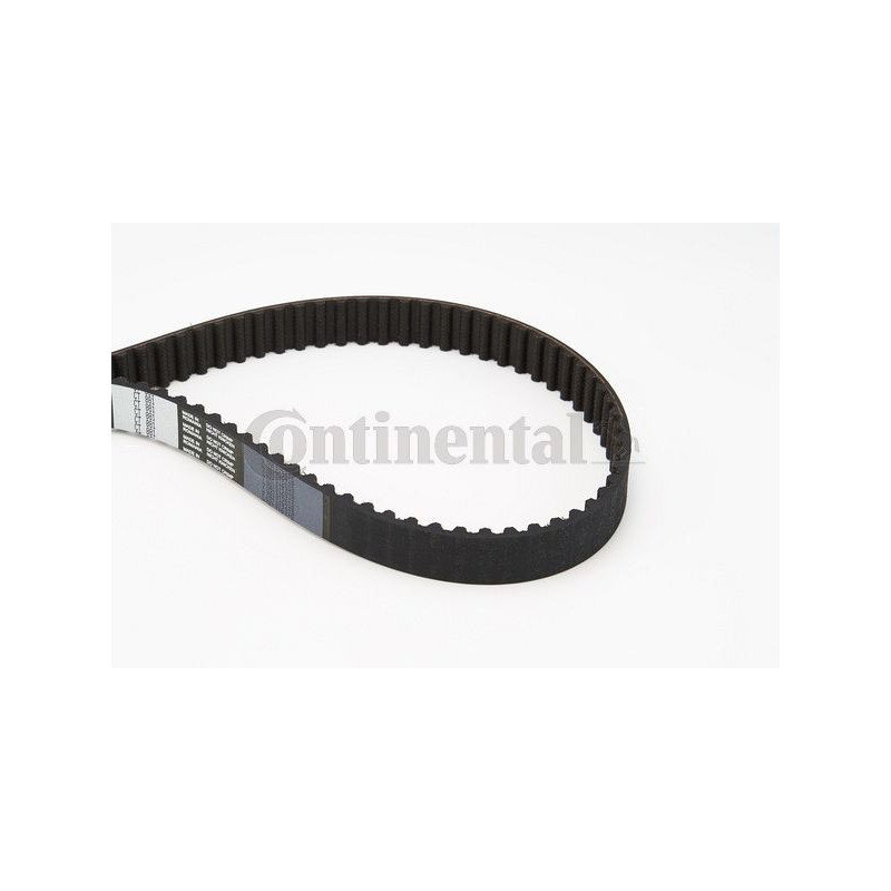 Cinghia/catena distribuzione - CONTITECH