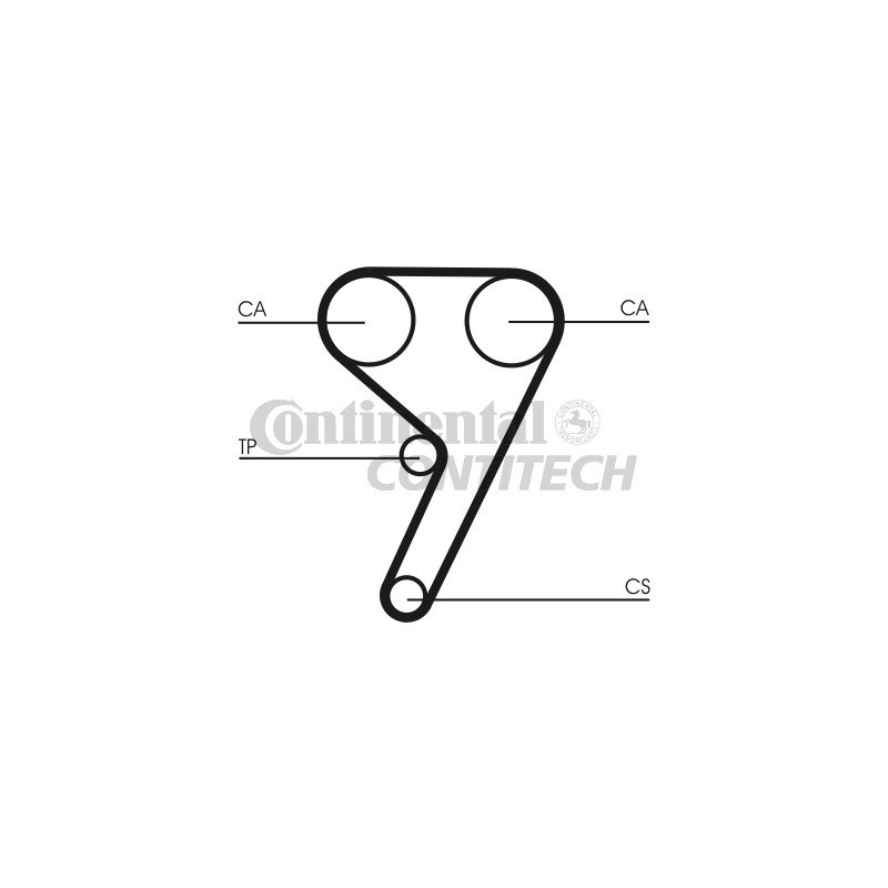 Cinghia/catena distribuzione - CONTITECH