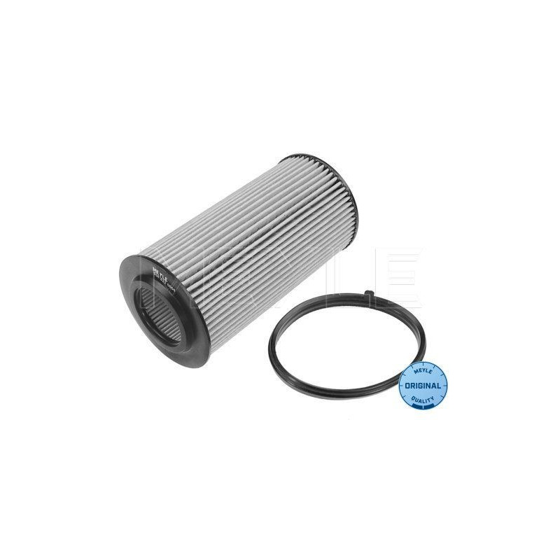 Filtro olio - MEYLE