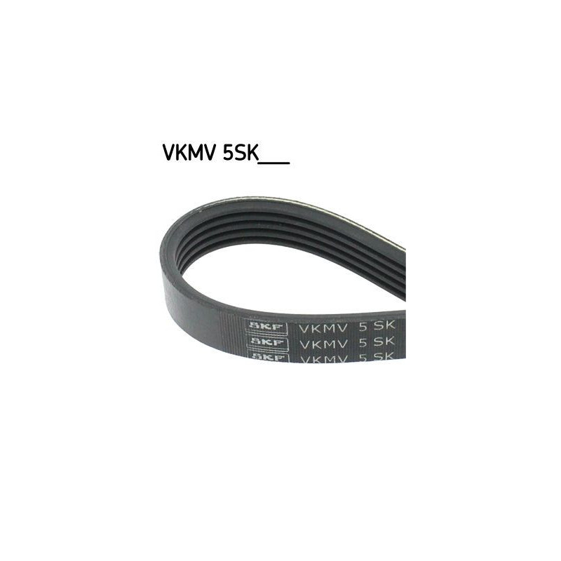 Cinghia trapezoidale - SKF