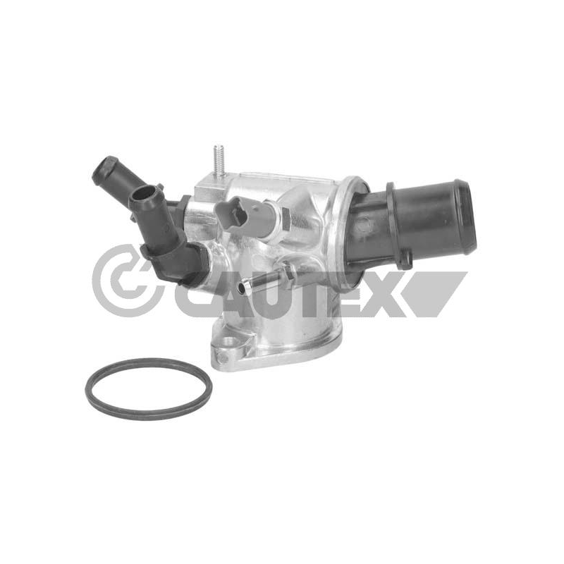 Termostato raffreddamento - CAUTEX GOMMA E PARTI MOTORE