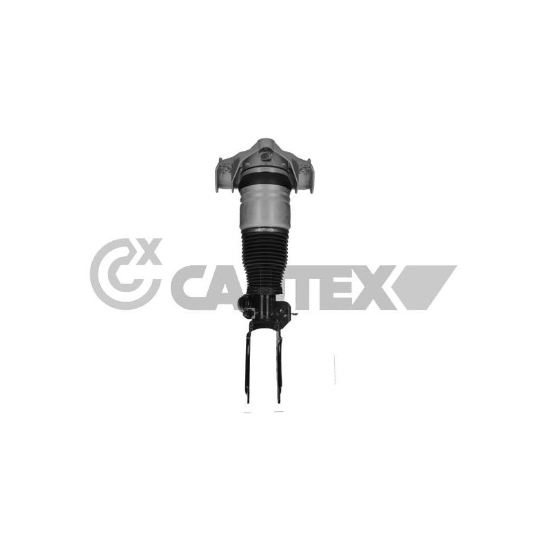 Ammortizzatore asse anteriore - CAUTEX GOMMA E PARTI MOTORE