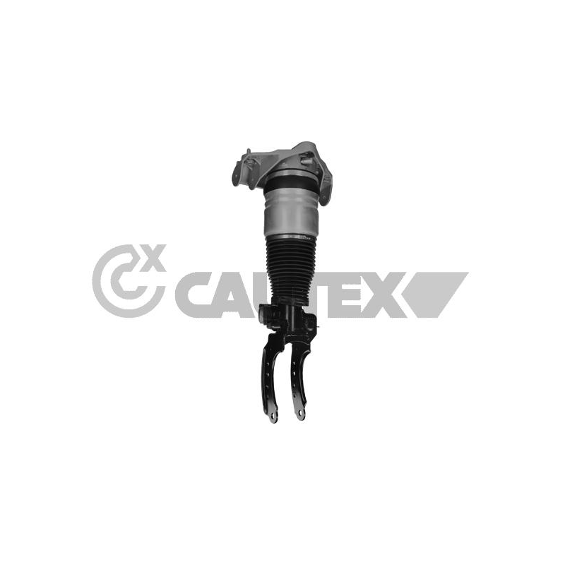 Ammortizzatore asse anteriore - CAUTEX GOMMA E PARTI MOTORE