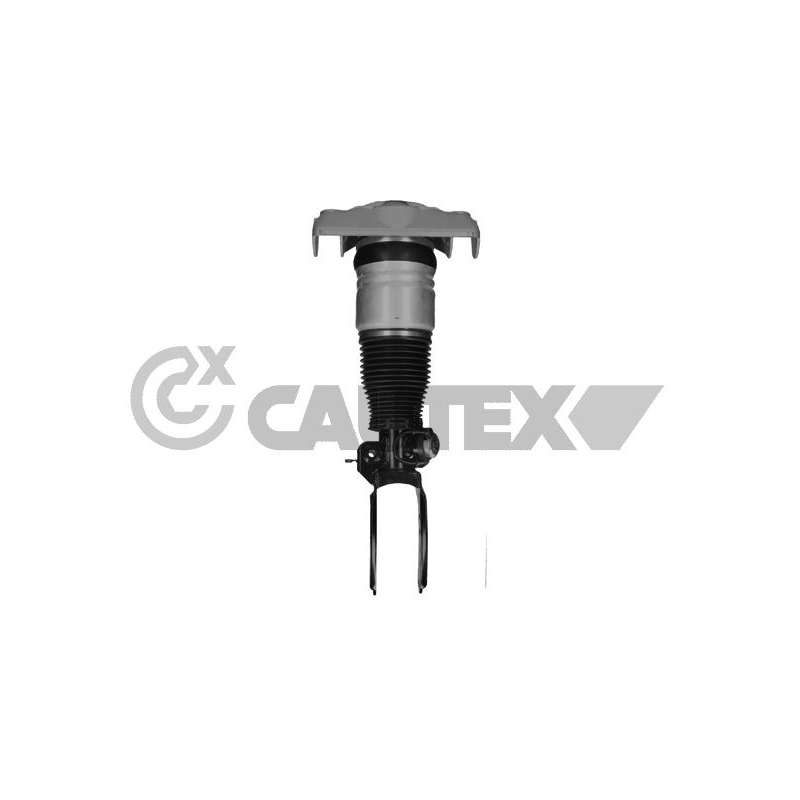 Ammortizzatore asse anteriore - CAUTEX GOMMA E PARTI MOTORE