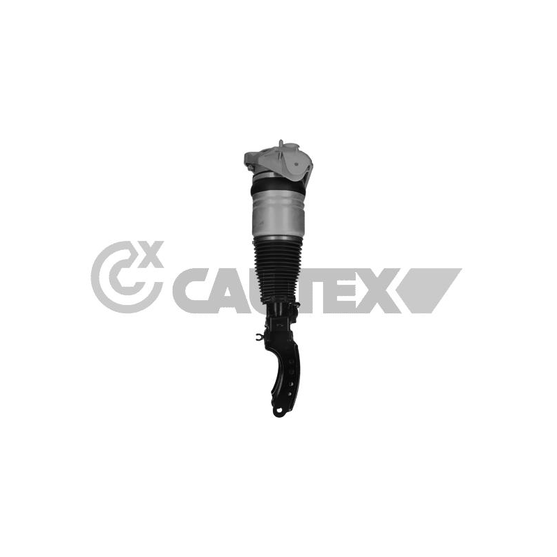 Ammortizzatore asse anteriore - CAUTEX GOMMA E PARTI MOTORE