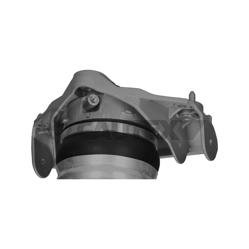 Ammortizzatore asse anteriore - CAUTEX GOMMA E PARTI MOTORE