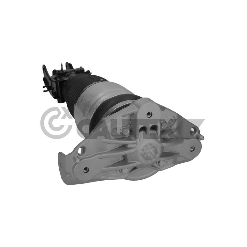 Ammortizzatore asse anteriore - CAUTEX GOMMA E PARTI MOTORE