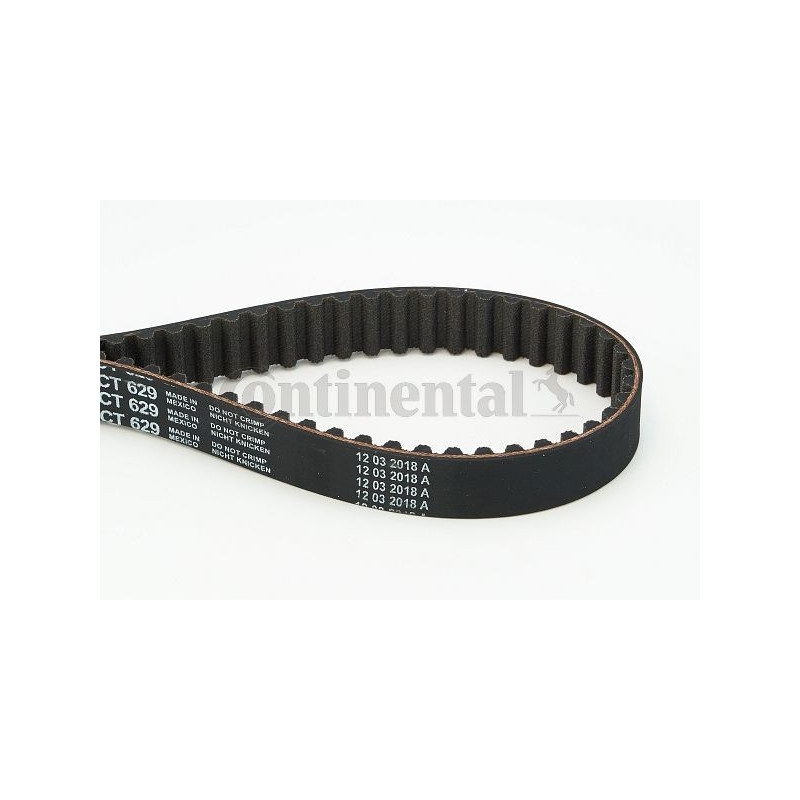 Cinghia/catena distribuzione - CONTITECH