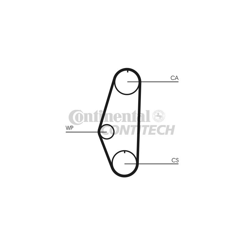 Cinghia/catena distribuzione - CONTITECH