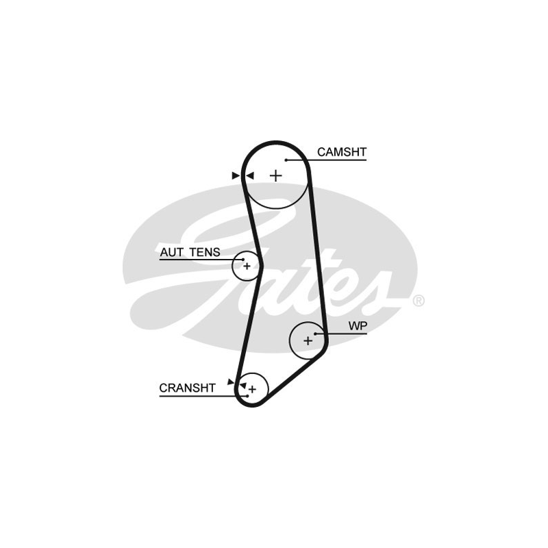 Kit distribuzione - GATES