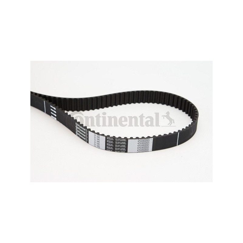 Cinghia/catena distribuzione - CONTITECH