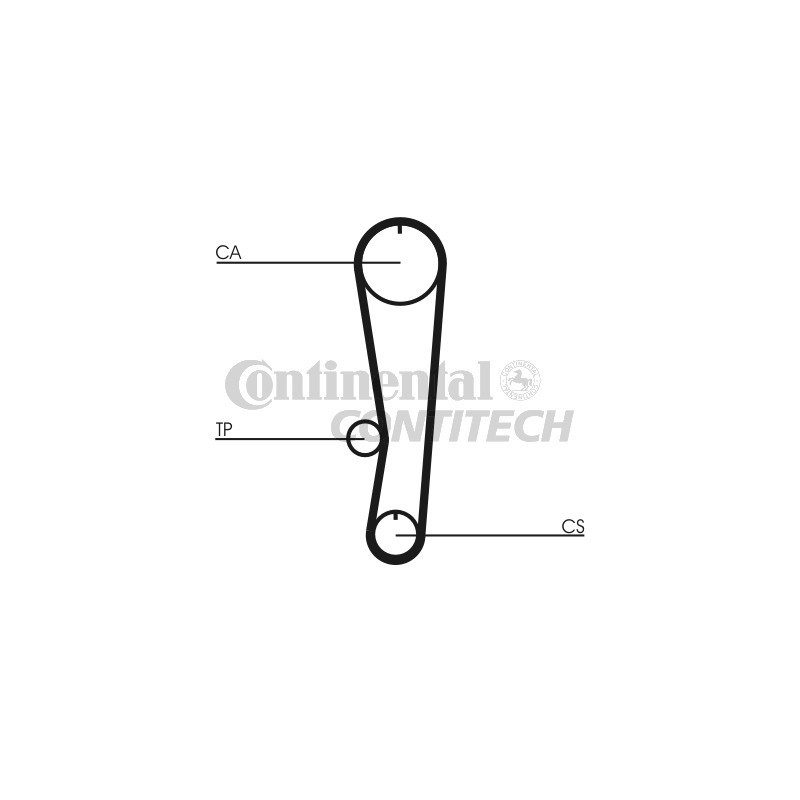 Cinghia/catena distribuzione - CONTITECH