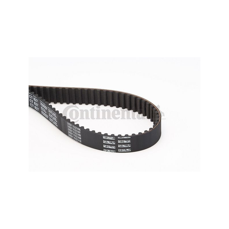 Cinghia/catena distribuzione - CONTITECH