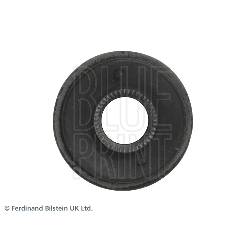 Supporto braccio oscillante - BLUE PRINT