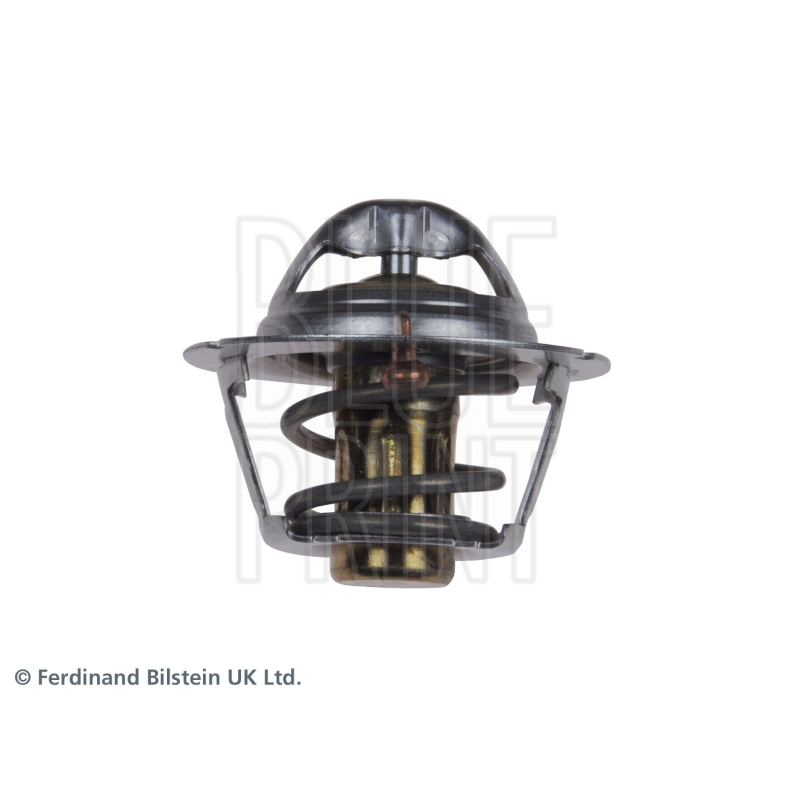 Termostato raffreddamento - BLUE PRINT