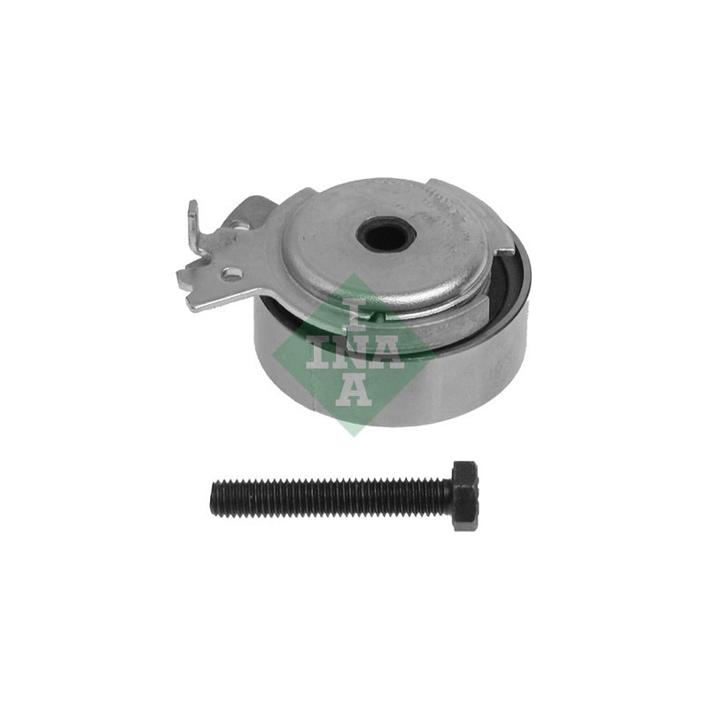 Tendicinghia distribuzione - INA