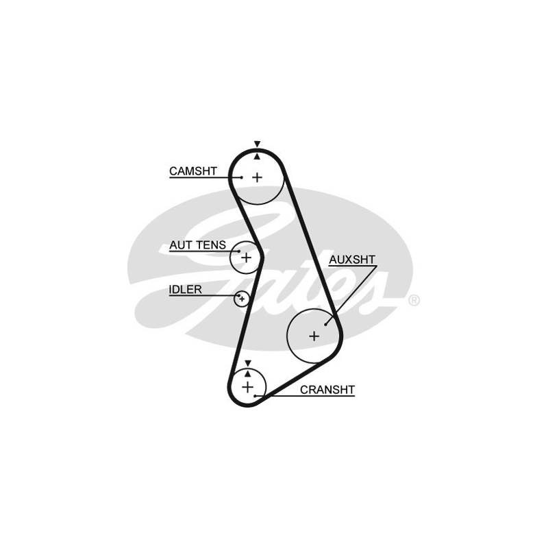 Cinghia/catena distribuzione - GATES