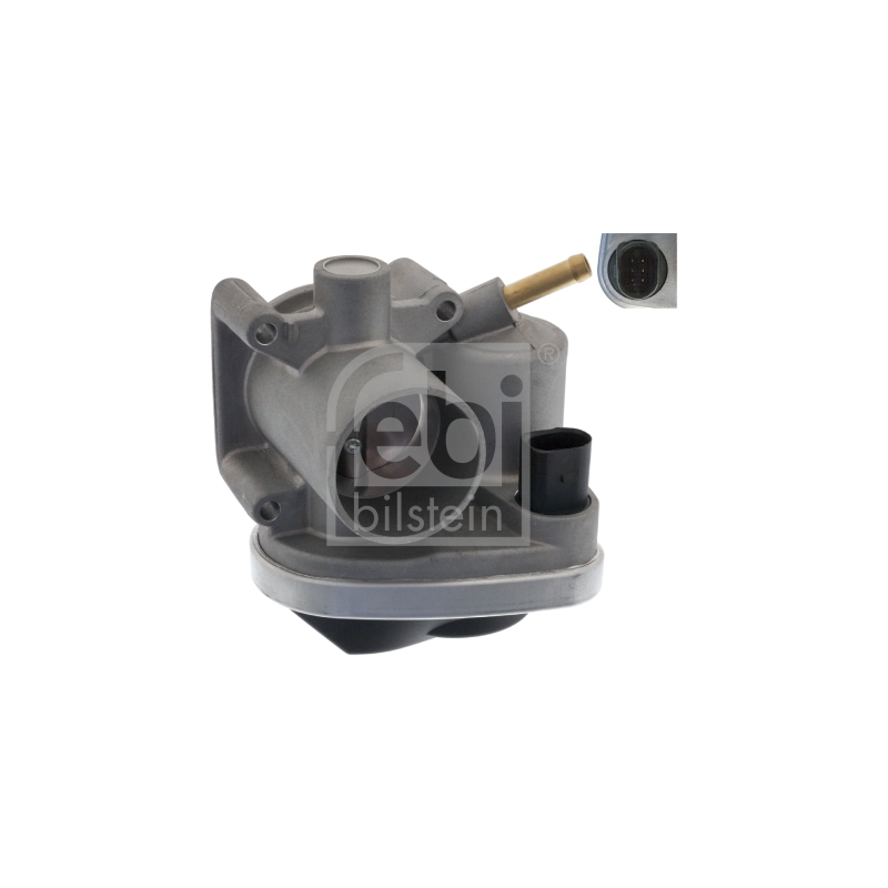 Corpo farfallato - FEBI